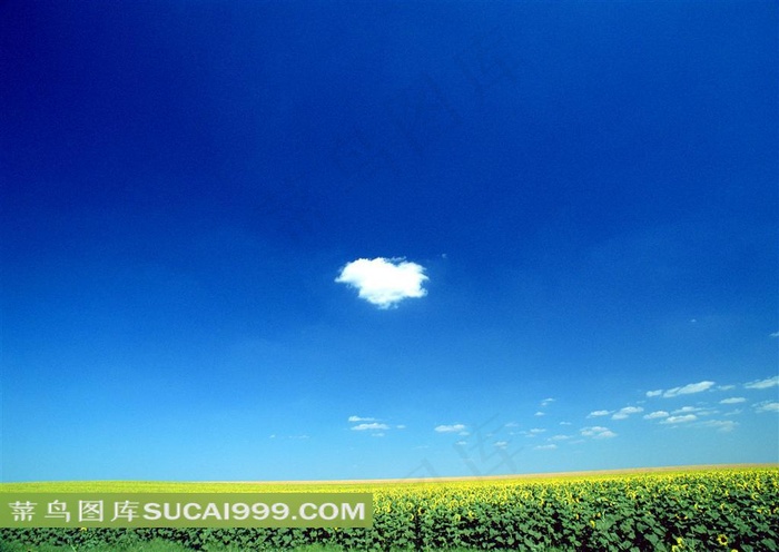 蓝天白云田野图片素材