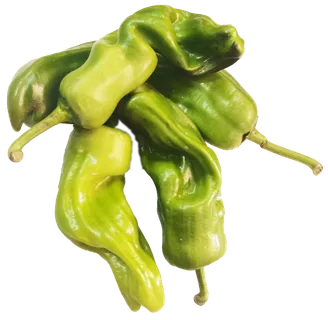 农家有机田园清新色调青椒螺丝椒线椒菜椒辣椒免抠元素实物摄影素材