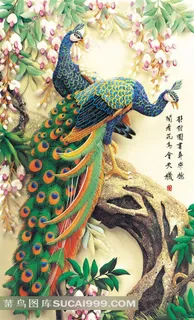 孔雀艺术图片素材 孔雀艺术图片素材