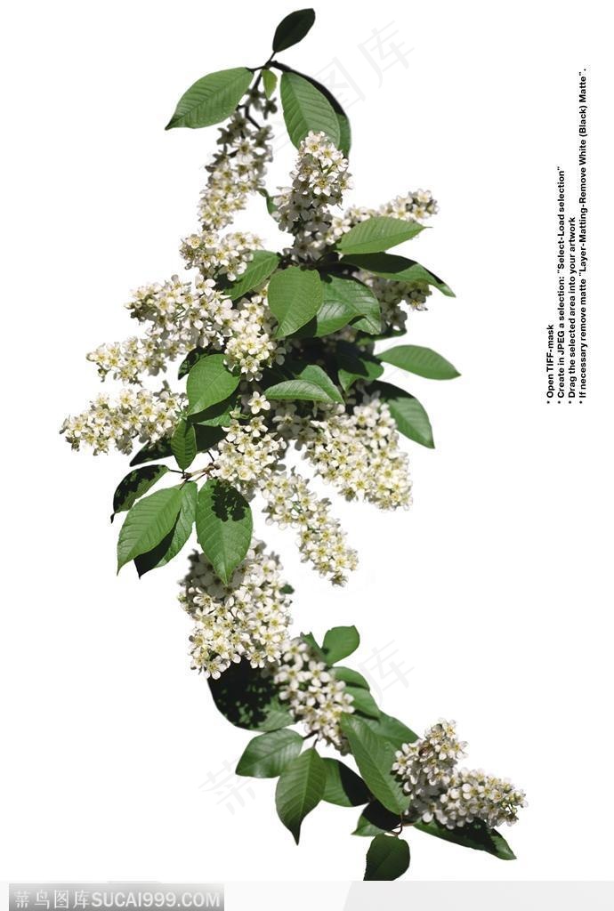 情人节花物语-一束漂亮的花