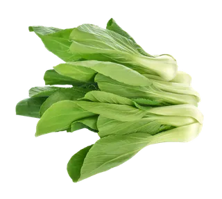 上海青 (14)超市商品白底图免抠实物摄影png格式图片透明底