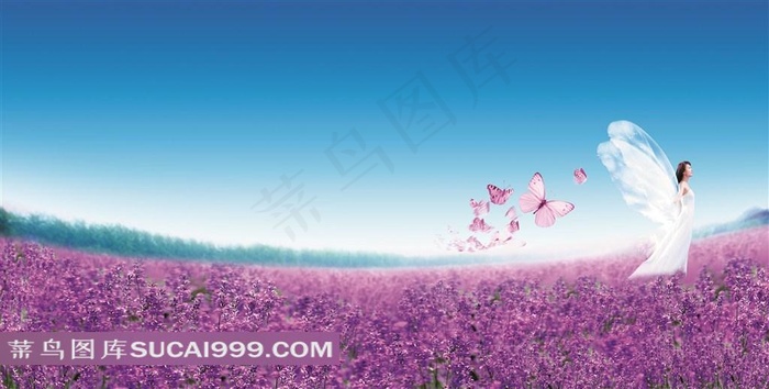 花海蝴蝶美女风景图片下载