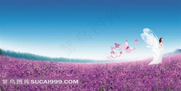 花海蝴蝶美女风景图片下载 花海蝴蝶美女风景图片下载