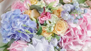 高清唯美玫瑰花朵