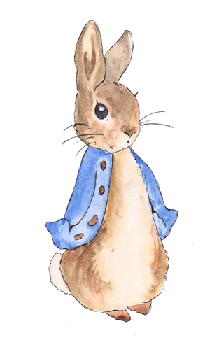 蓝衣服兔子兔年