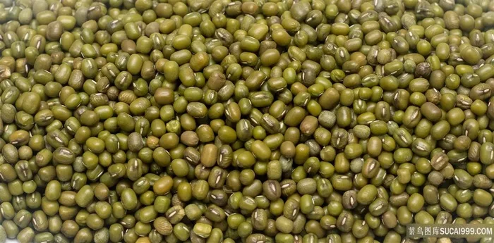 好看的绿豆图片