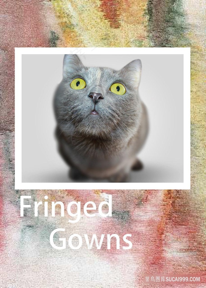 猫时尚艺术插画