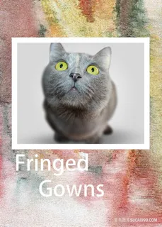 猫时尚艺术插画