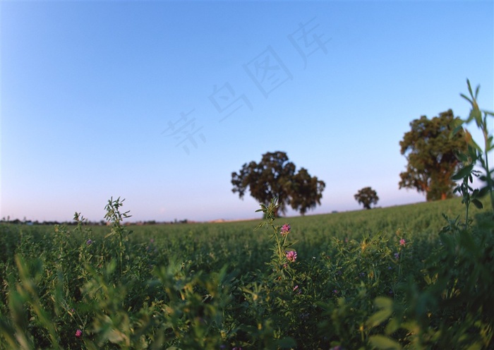 蓝蓝的天上白云飘干净图片素材