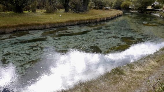 亚丁洛绒牛场草地雪山融水