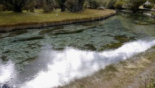 亚丁洛绒牛场草地雪山融水