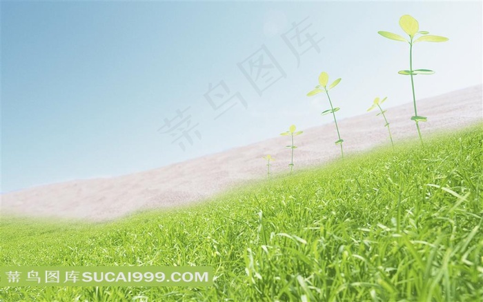 草地荒漠小苗环保背景