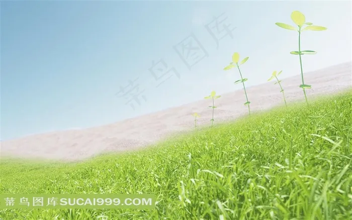 草地荒漠小苗环保背景