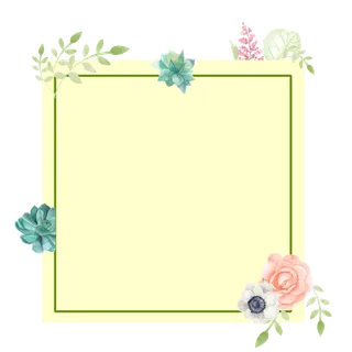 方形边框花朵