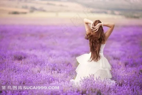 站在紫色花海中的新娘图片