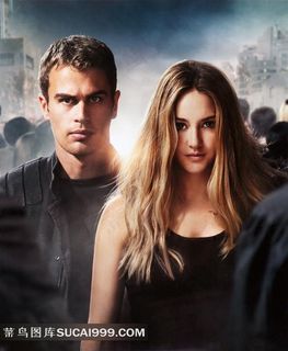 帅哥与美女电影分歧者高清海报