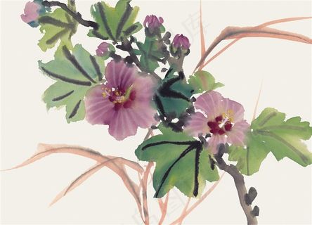 写意花卉美图国画jpg素材