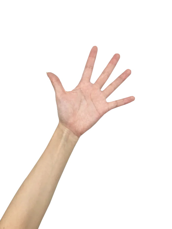 手掌打开手势免抠png