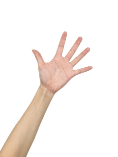 手掌打开手势免抠png