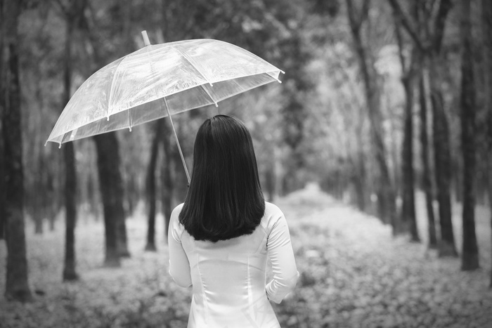 旗袍淑女背影图片