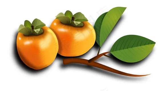 柿子卡通图片 柿子卡通图片