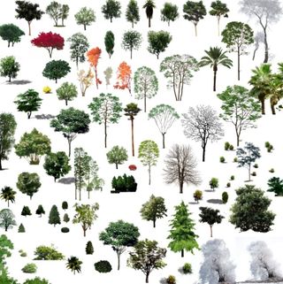 综合树psd素材