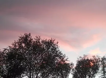 夏季黄昏风景图