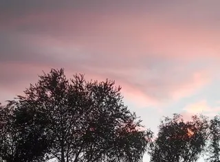 夏季黄昏风景图