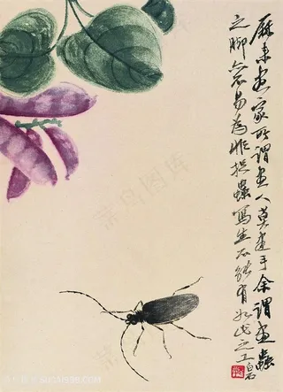 齐白石豌豆与虫国画图片
