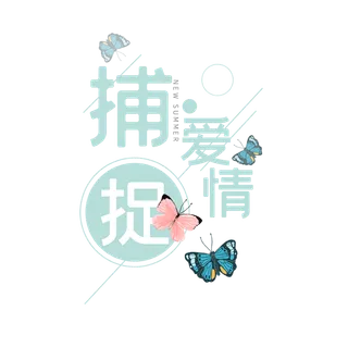 捕捉爱情情人节