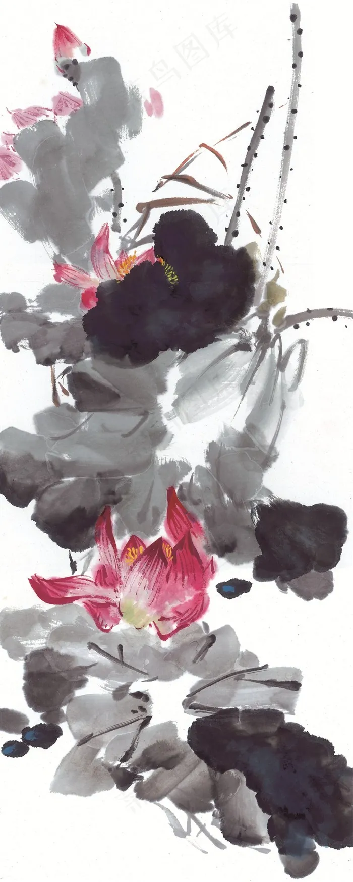 国画富贵鸟欣赏花美图素材