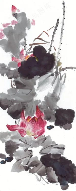 国画富贵鸟欣赏花美图素材 国画富贵鸟欣赏花美图素材