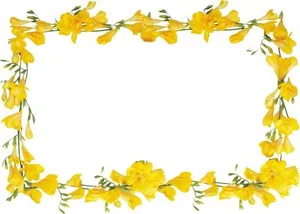花框 PNG免抠