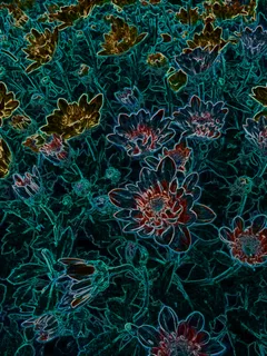 紫色菊花、插画、艺术效果 紫色菊花、插画、艺术效果