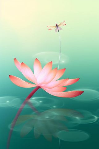 清新风格荷花花瓣简约背景