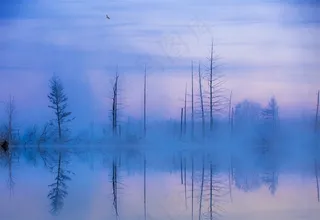 唯美冰天雪地的自然风景图片