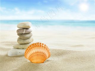 贝壳石头海景风景画