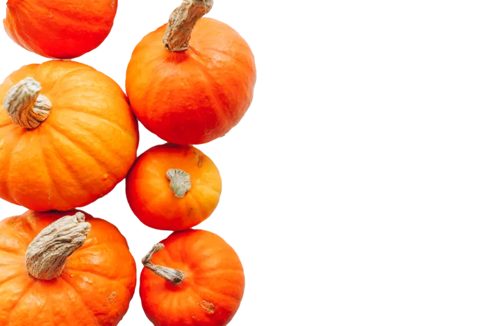 南瓜 (27)超市商品白底图免抠实物摄影png格式图片透明底