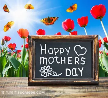 郁金香花丛与黑板木板母亲节摄影高清图片