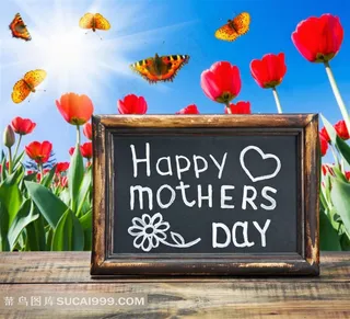 郁金香花丛与黑板木板母亲节摄影高清图片