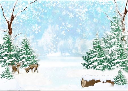 圣诞节蓝天白色风景背景墙