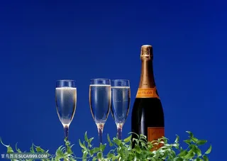 新婚物语-婚礼中的美酒