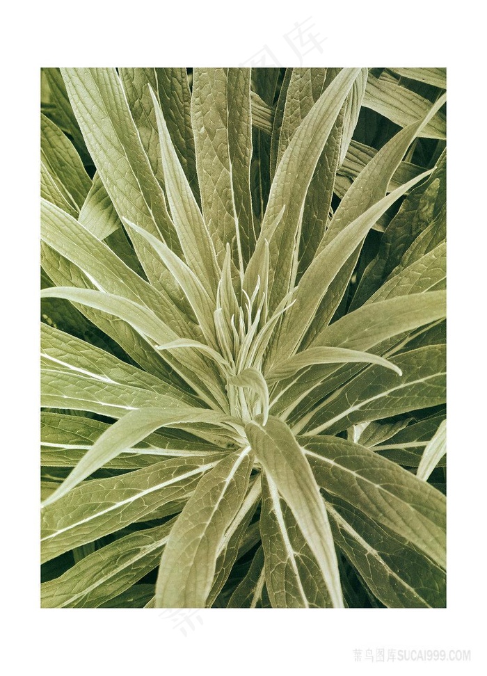 绿草唯美油画