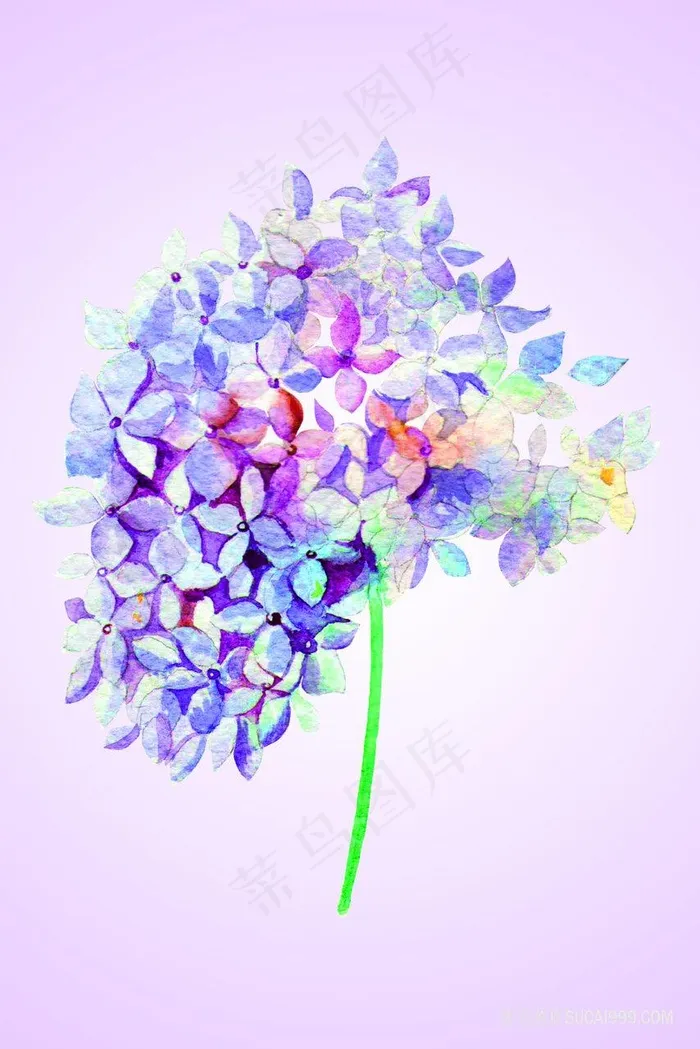 唯美水彩花卉艺术装饰画