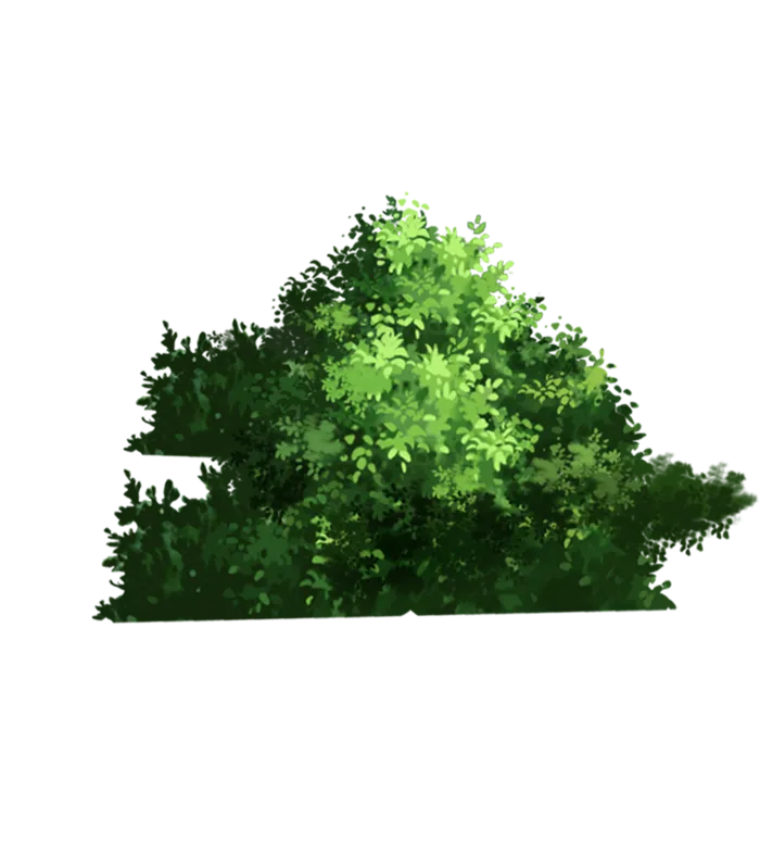 树木树枝树叶免扣素材