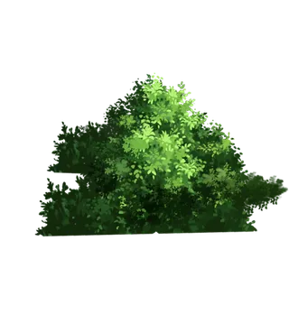 树木树枝树叶免扣素材