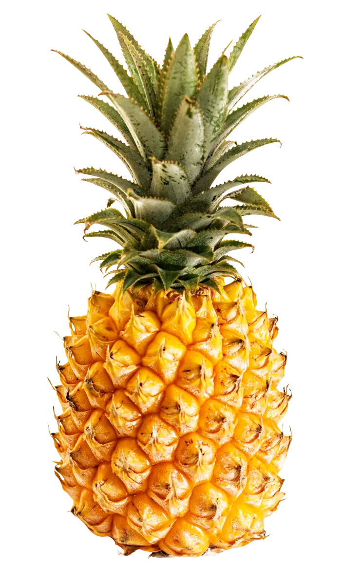 菠萝水果黄色