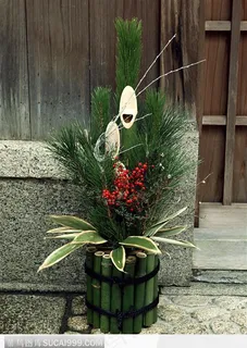 门前的绿色植株 门前的绿色植株