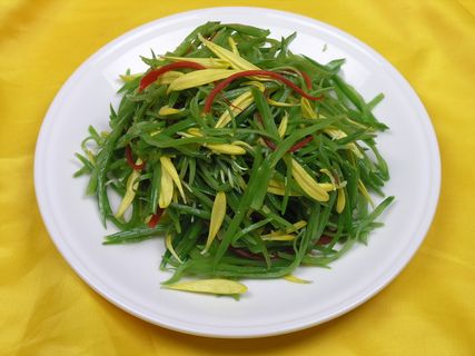 0711a-775黄莺翡柳