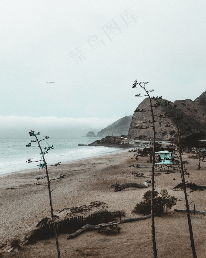 真实沙滩风景图片